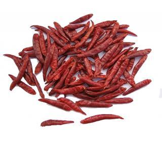 new crop tianying chilli red chilli