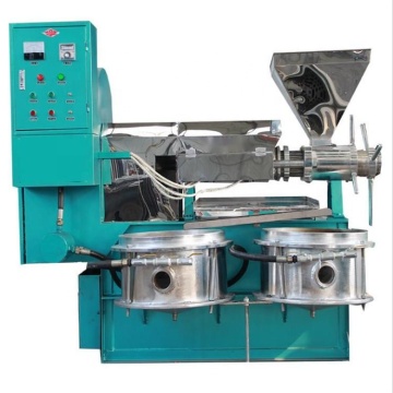 6YL-100 Cold Screw Press for Oil Extraction: Sesame, Coconut, and Avocado Edition