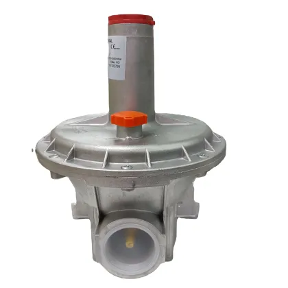 Pietro Fiorentini FMF301650005AB Natural Gas Pressure Regulator
