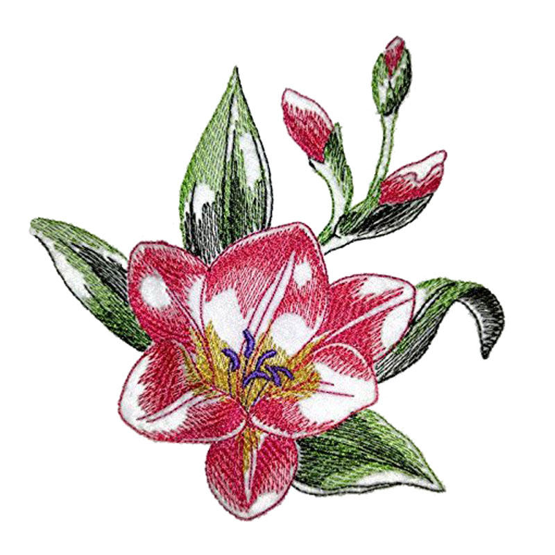 Blooming Flowers Sketch Emblem