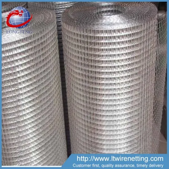 china alibaba manufacturer welded wire mesh roll philippine for hot sale