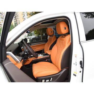 2024 Tank500 3.0t V6 SUV with Powerful Engine