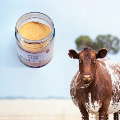 Beef Powder Beef Essence