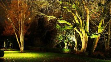 LED Flood Light