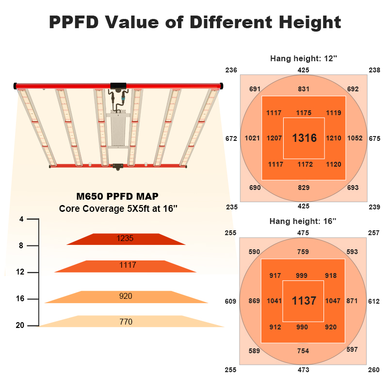 Aglex Best 600W LED Grow Light Full Spectrum