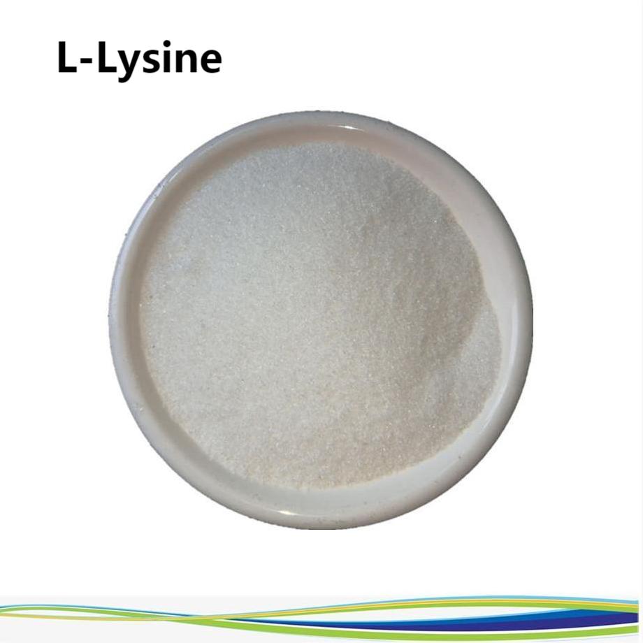 L Lysine Jpg