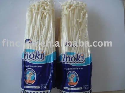 enoki mushroom (fresh mushrooms)