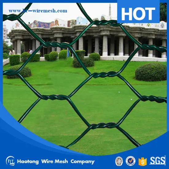 yahoo.com chicken coop hexagonal wire mesh