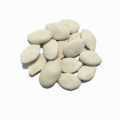 Semillas de Calabaza Blanca con Salinidad 60% Sal Salada