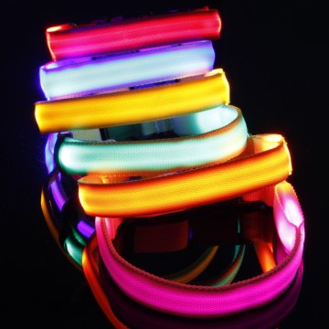 LED Pet Collar with Nylon Webbing