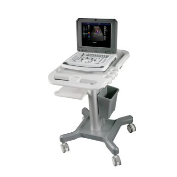 Χρώμα φορητού υπολογιστή Doppler Ultrasound Scanner Machine