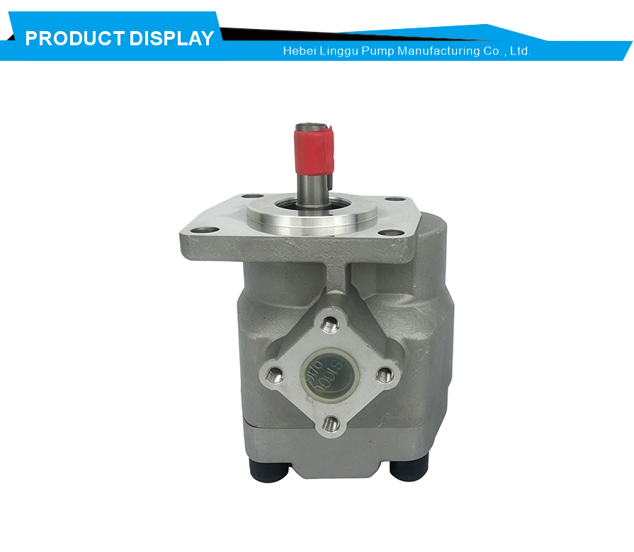External gear lubrication pump