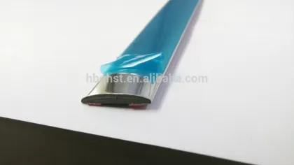 Door and window decorative edge trim seal strips for car