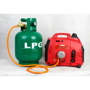 lpg genset 1KW