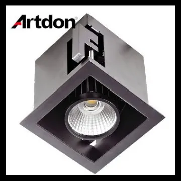 Brand Cree chips 10W Led Down Light