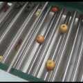 Máquina de classificação de tangerina para linha de processamento de frutas