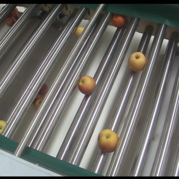 Stainless steel fruit grading machine
