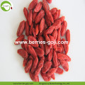 Factory Supply Fruits Super Food Offer Goji Berry