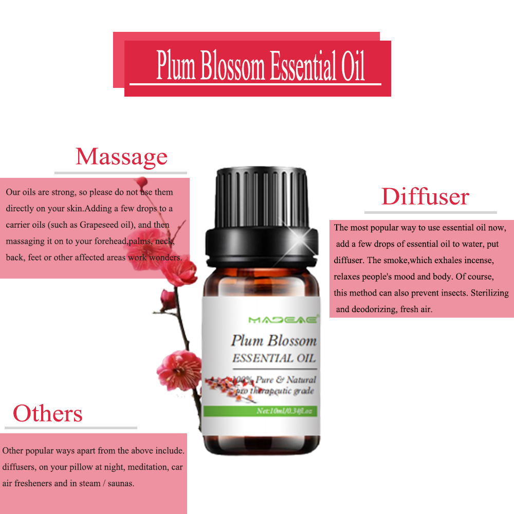 Water-Soluble Plum Blossoms Essential oil For Body Skincare