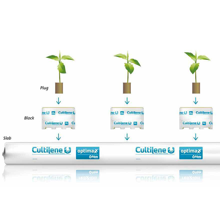 Greenhouse Hydroponics Rock Wool Planting system