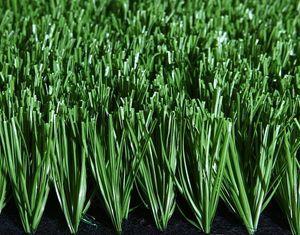 Plastic Bicolor Baseball Turf Grass , Sports Artificial Law