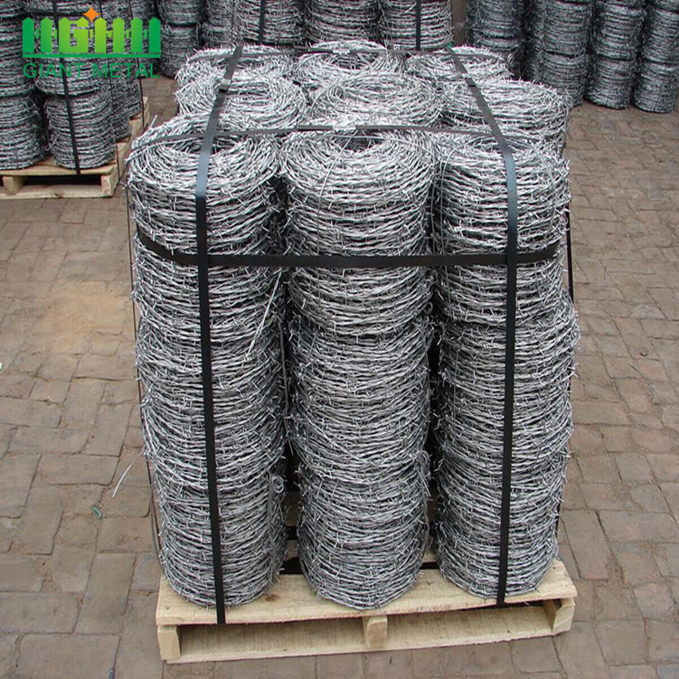 PVC coated and Hot dipped galvanized barbed wire