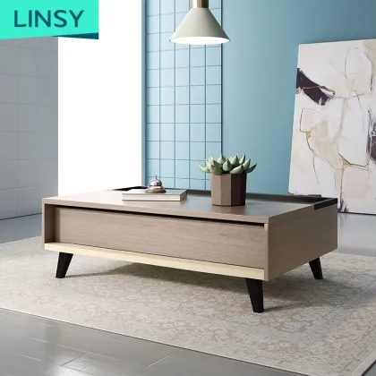 Linsy Nordic Multifunction Living Room Furniture