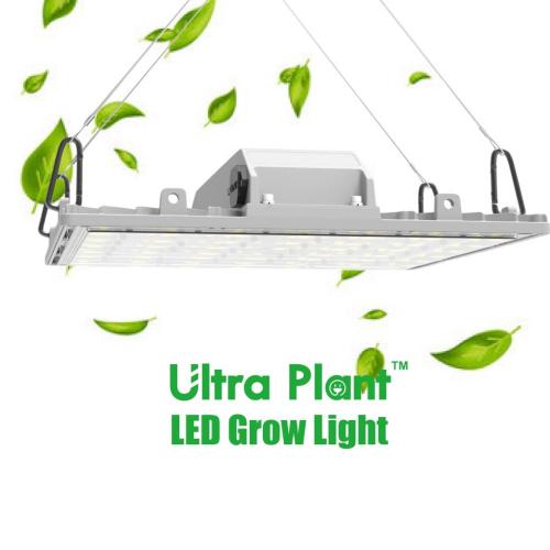 LED Grow Panel Light 450 Wattagem regulável