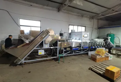 Jujube Sorting Machine: Red Dates Classifier and Fruit Sorting Equipment