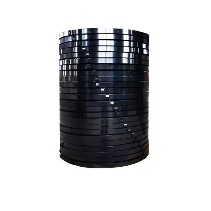 Tudor Strap Strip Carbon Steel Belt Seal Durable Steel Strips