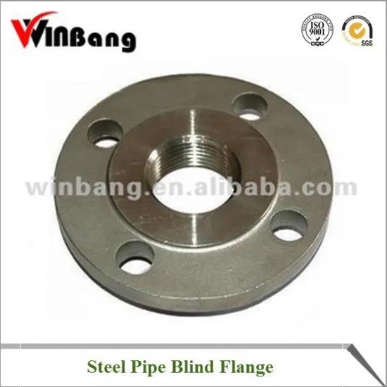 Stainless Steel Flate Weld Flange Model:WB PH-36
