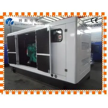 Cummins Diesel Generator with Stanford Copy