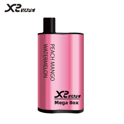 Factory 1500mAh Fruit Taste Mesh Coil 10ml Oil 4000puffs Mega Box Disposable Dry Herb Vaporizer