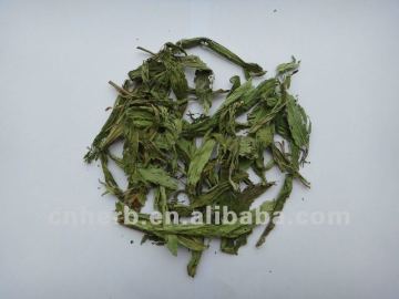 Dried Stevia leaf tea,Stevia rebaudiana,Sweet leaf,Sweetleaf,Sugarleaf,Tian ye ju,Tianyeju