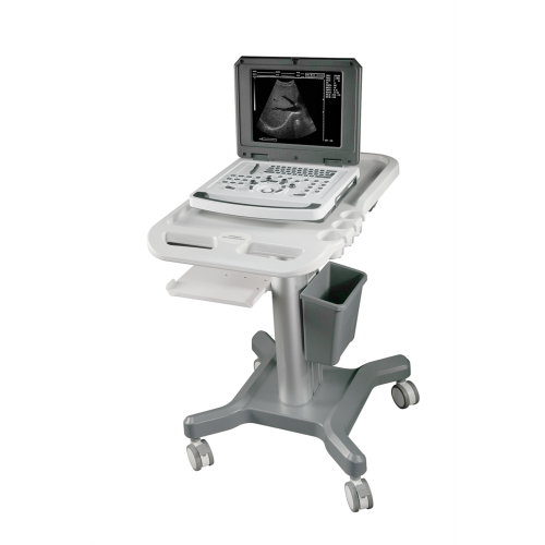 Notebook B-Ultrasound Scanner for Cardiovascular