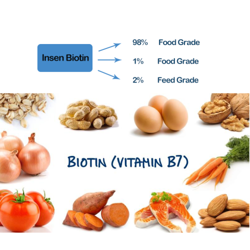Biotinpulver in Lebensmittelqualität D