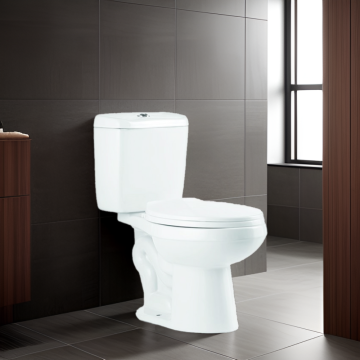 Modern Ceramic Two-Piece Toilet with Wash Down System and P-Trap