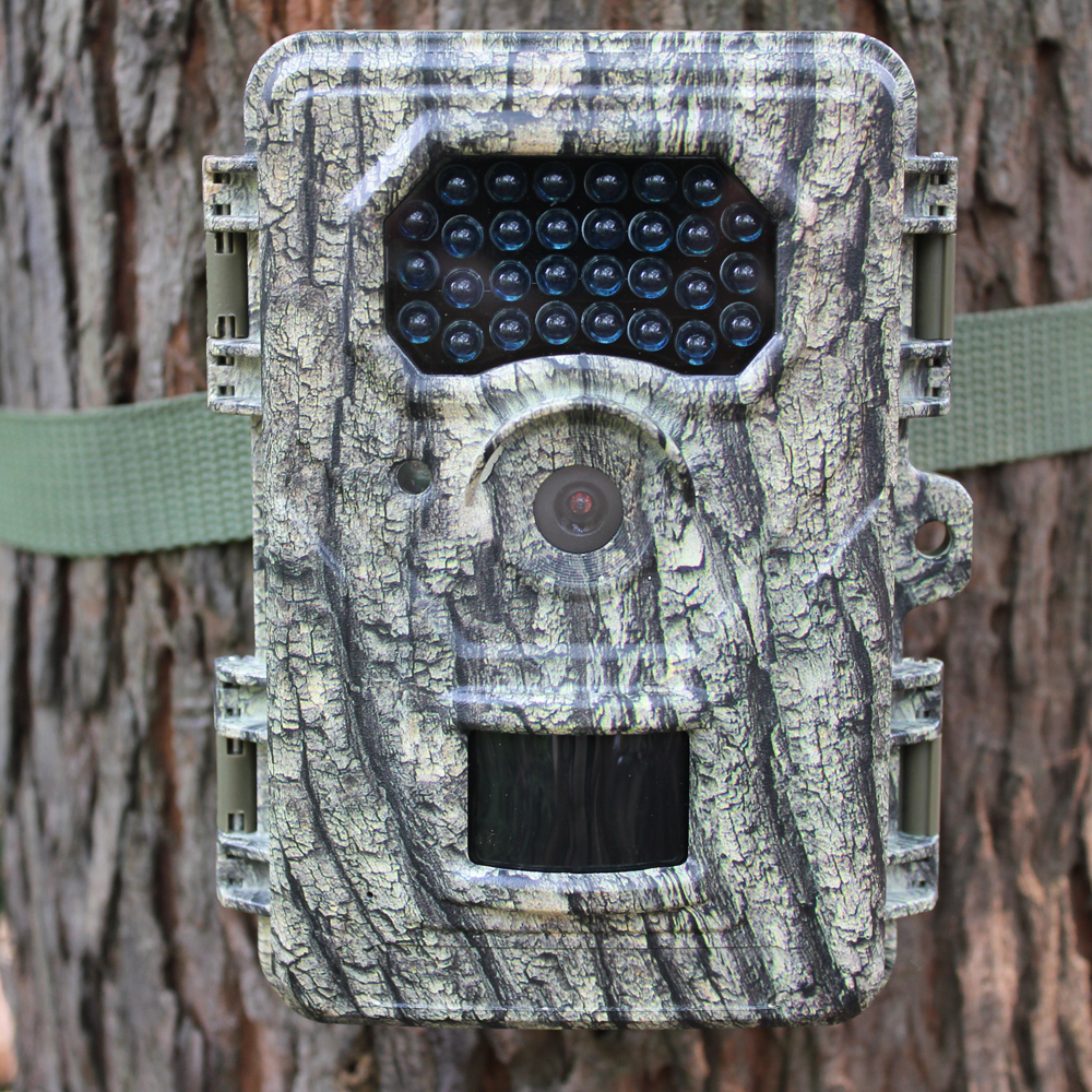 wildlife hunting camera