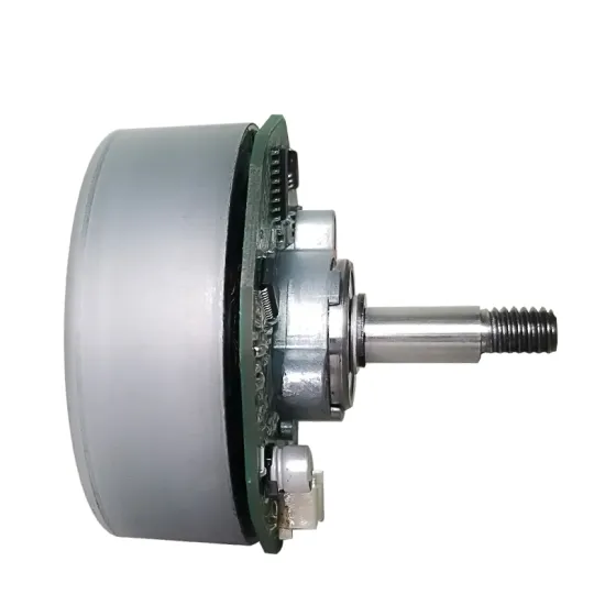 Fuji Micro DC Brushed Motor, 12V Micro Brush Motor & Permanent Magnet DC Brush Motor Customizable