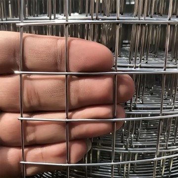 galvanized welded wire mesh