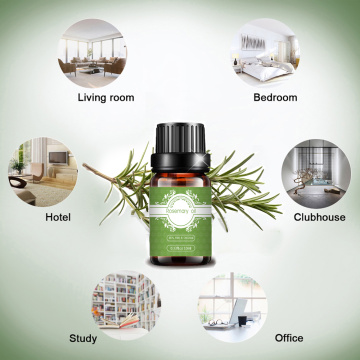 Factory supply natural rosemary essential oil hair growth