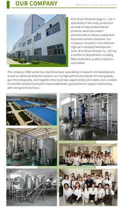 Ginseng Berry Extract,1%~80% Ginsenosides Panax Ginseng