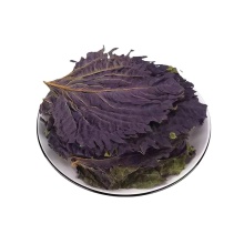 Traditional Perilla Leaf Herbal Treatment