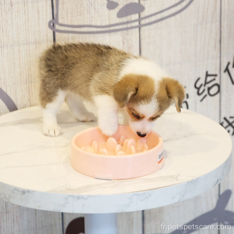 Menant lent bol de chiens bol de bol de bol de chiens