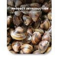 Vongole vive e congelate sostenibili