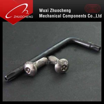 Torx Screws