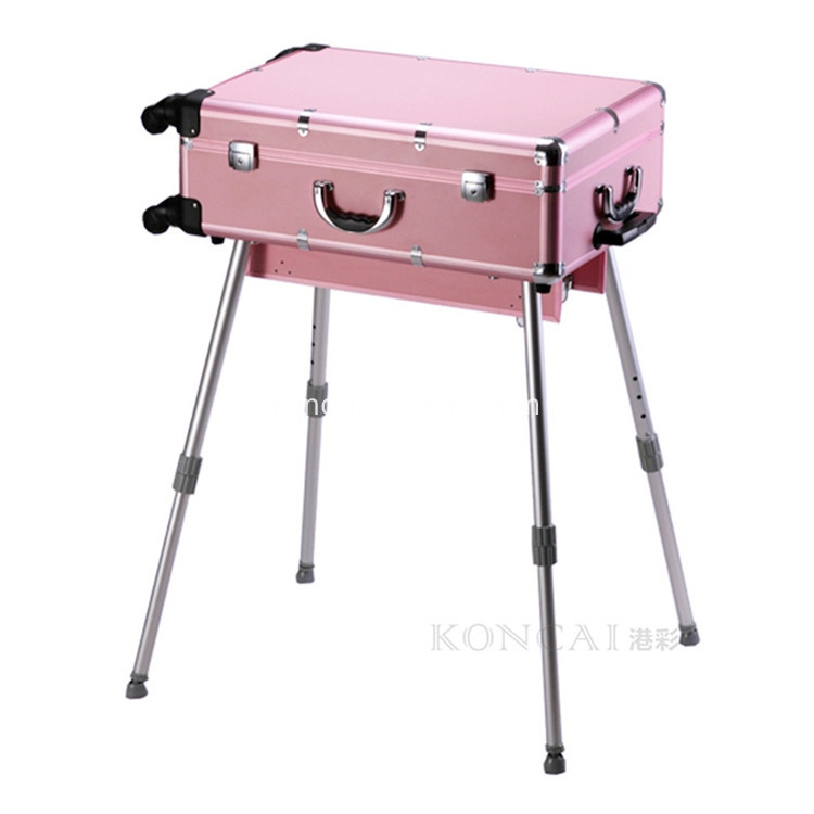 Makeup Case with Mirror