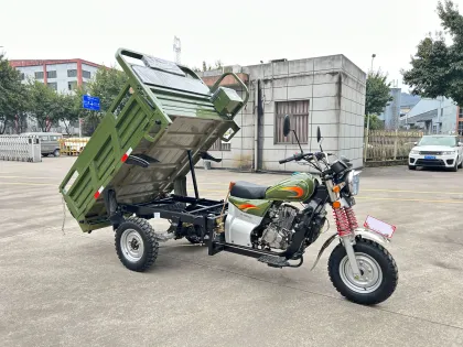 Efficient Three Wheel Workhorse for Multiple Purposes