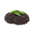 black tea extract powder Black Tea Extract