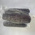 High Quality Black Sweet Corns